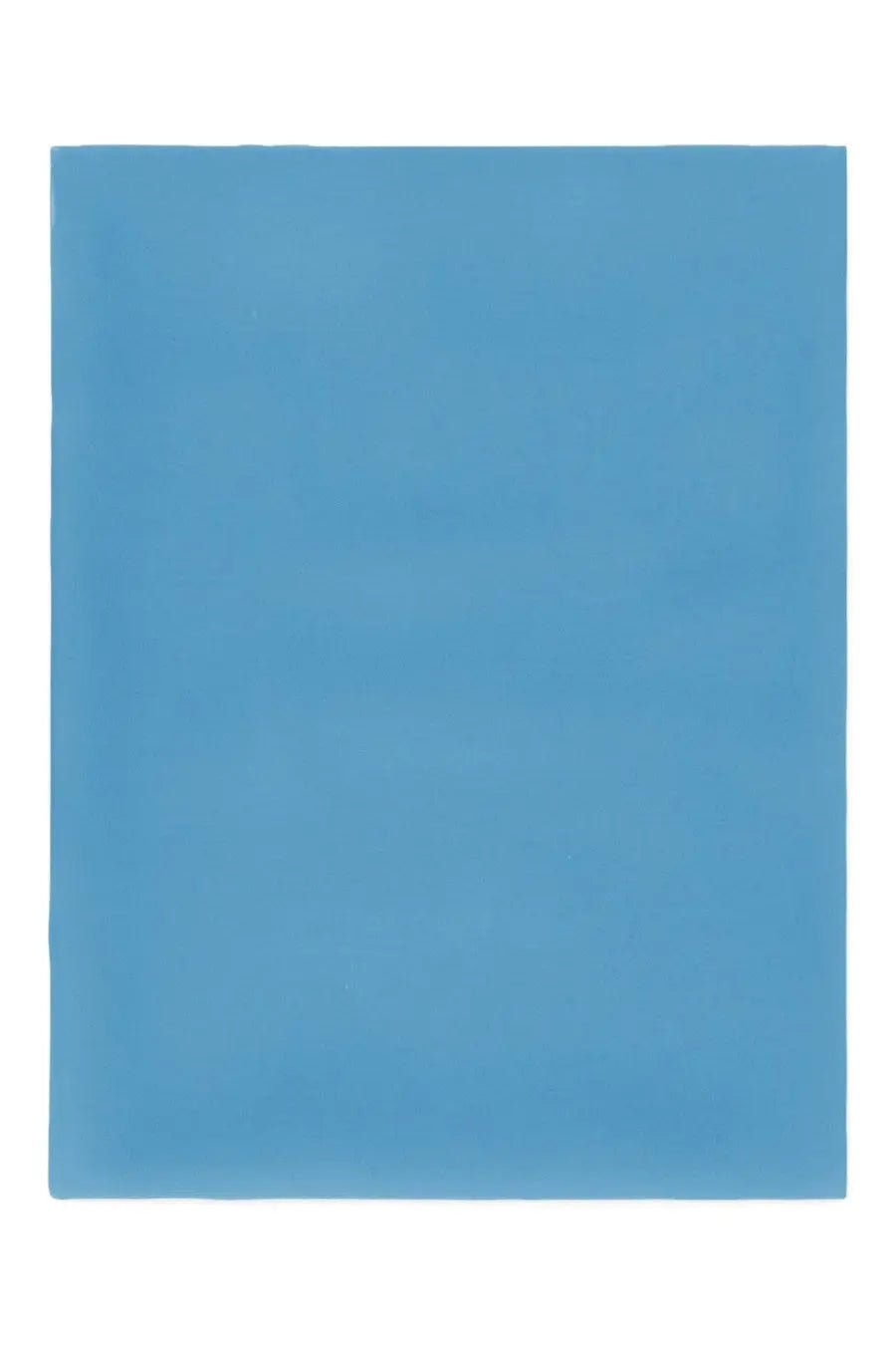 Alberta ferretti women’s foulard in solid light blue seta displayed in a rectangular shape