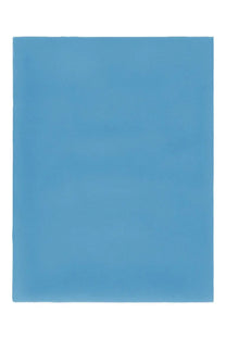 Alberta ferretti women’s foulard in solid light blue seta displayed in a rectangular shape