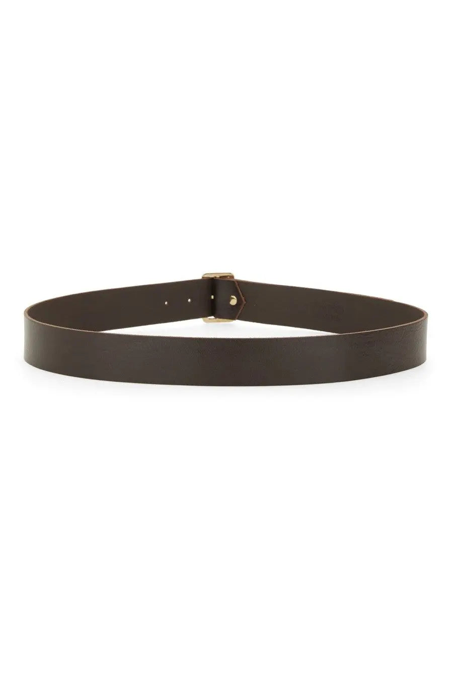 Alysi women’s leather belt brown in dark brown with a minimalist gold toned buckle