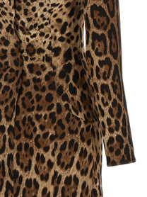 Dolce &amp; Gabbana Animal Print Dress Brown