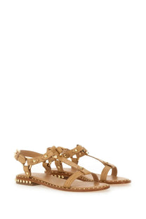 Ash women’s patsy bis sandal beige tan leather sandals with gold-tone studs along straps and sole