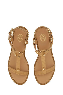 Ash women’s patsy bis sandal beige tan leather with gold-tone studs chain detailing and crocodile-embossed straps