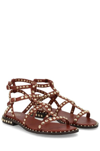 Ash women’s sandalo gladiator brown brown leather sandals with gold toned studs across straps and sole