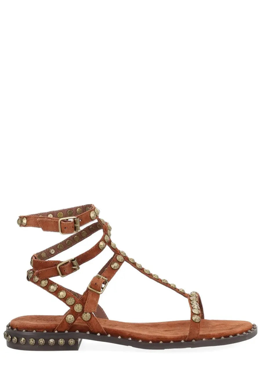 Ash women’s sandalo play brown brown leather strappy sandal with gold toned studs and buckle details