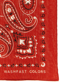 Alanui Bandana Paisley Red, view 2