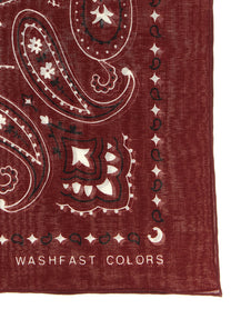 Alanui Bandana Paisley Red, view 2