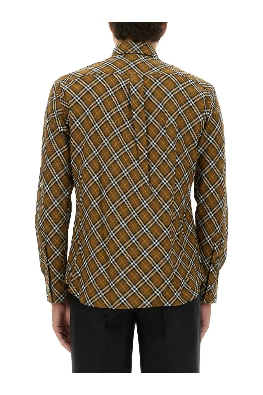 Burberry men’s check shirt multicolor in brown and white plaid with tailored fit and button-down back shown from the back