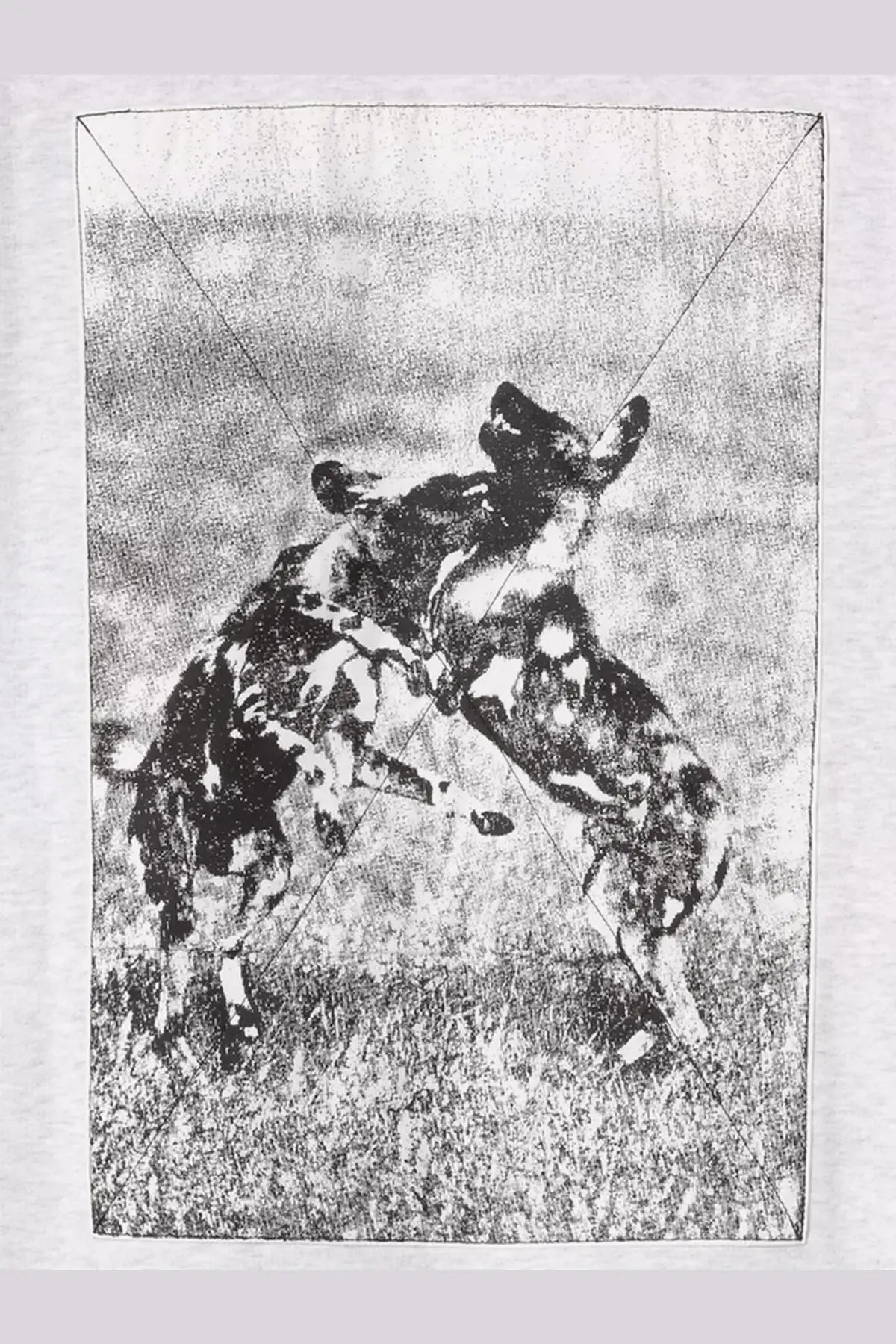 White t-shirt with black and white graphic of two african wild dogs in mid-fight on front, cotton blend material