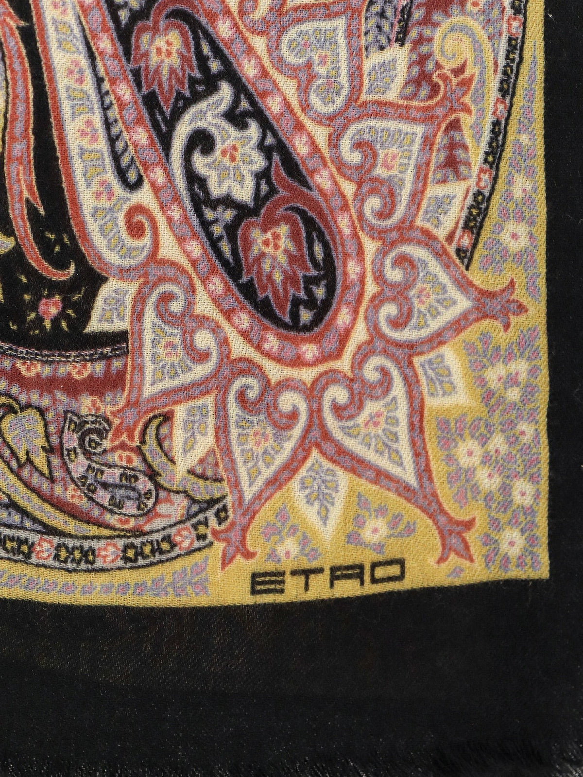 ETRO Women's Cashmere Scarf Red