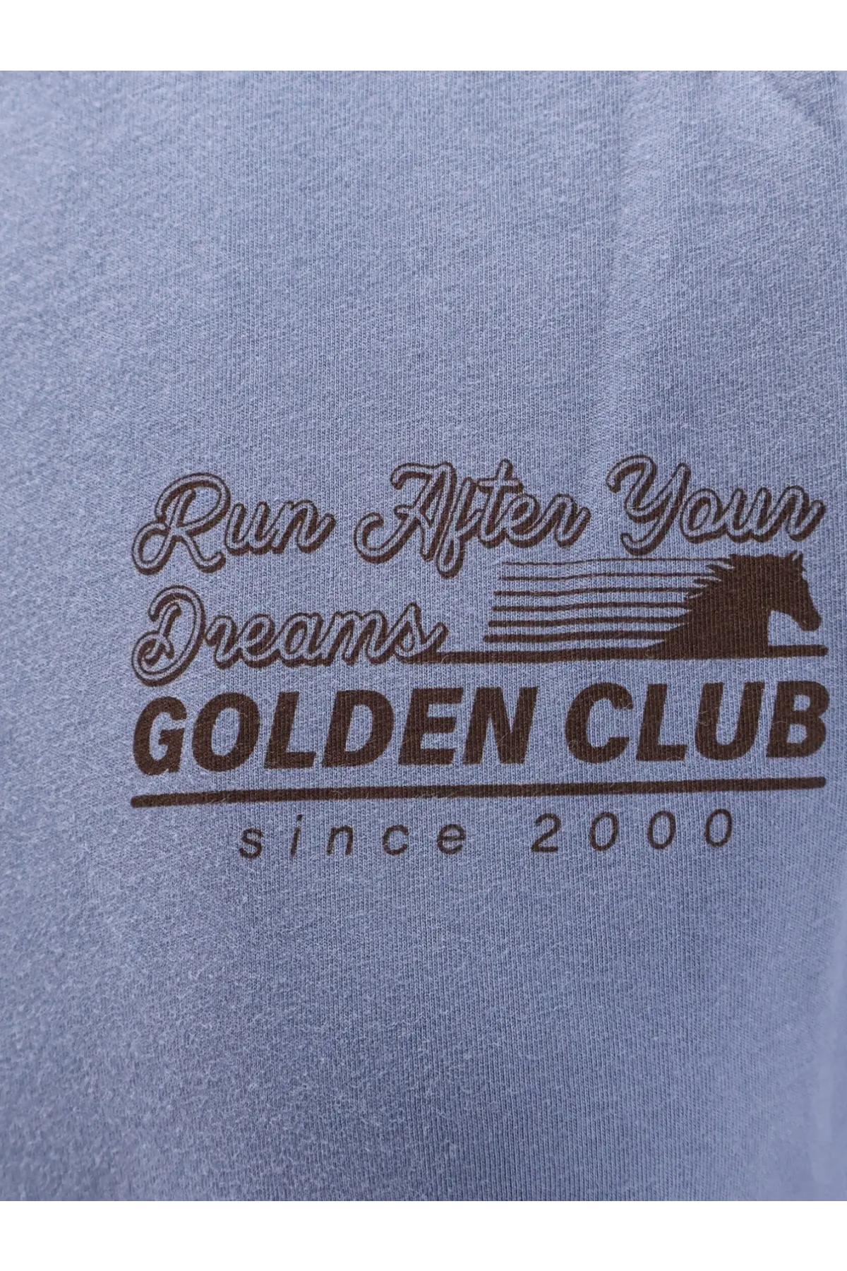 Golden Goose women’s light blue cotton t-shirt with brown run after your dreams golden club 2000 horse graphic