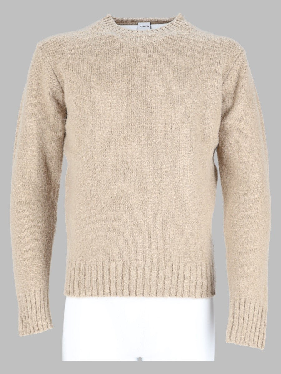 ASPESI Men's Maglia in Lana Beige