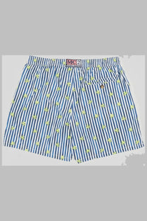 Mc2 saint barth men’s blue and white striped swim trunks with lime green octopus print for beach wear