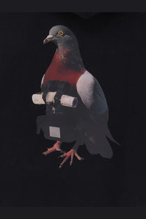 A pigeon with a red breast and gray wings wears a black oamc peacemaker men’s felpa in cotone cotton sweatshirt with a racing harness