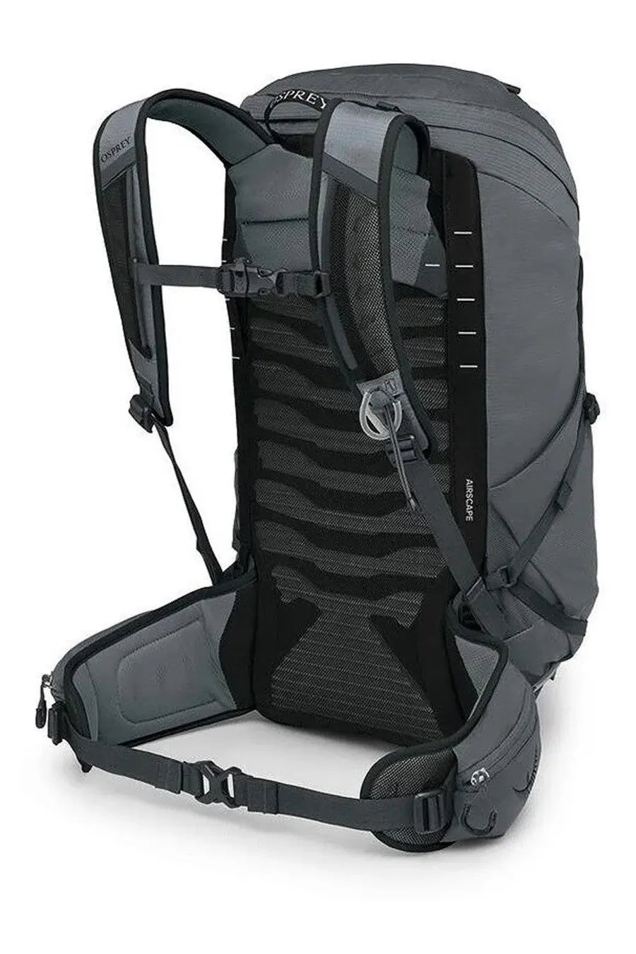 Gray osprey unisex zaino talon grey backpack showing black mesh back panel and adjustable straps