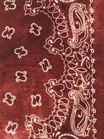 Golden Goose Paisley Scarf Red