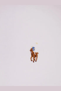 Polo ralph lauren women’s cotton shirt dress white with brown embroidered polo player logo and blue accents