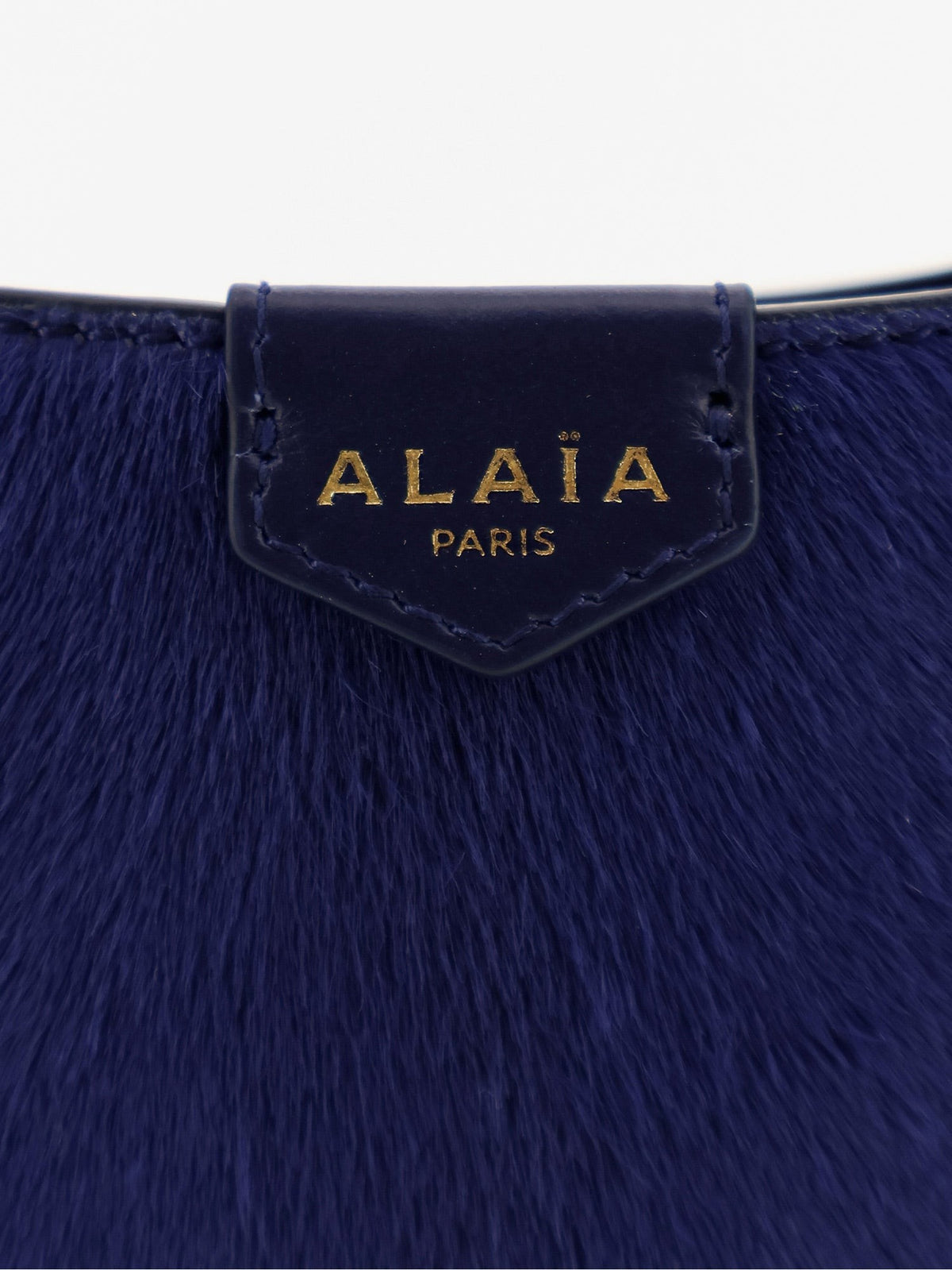 ALAÏA Women's Ponyskin Hobo Handbag Blue