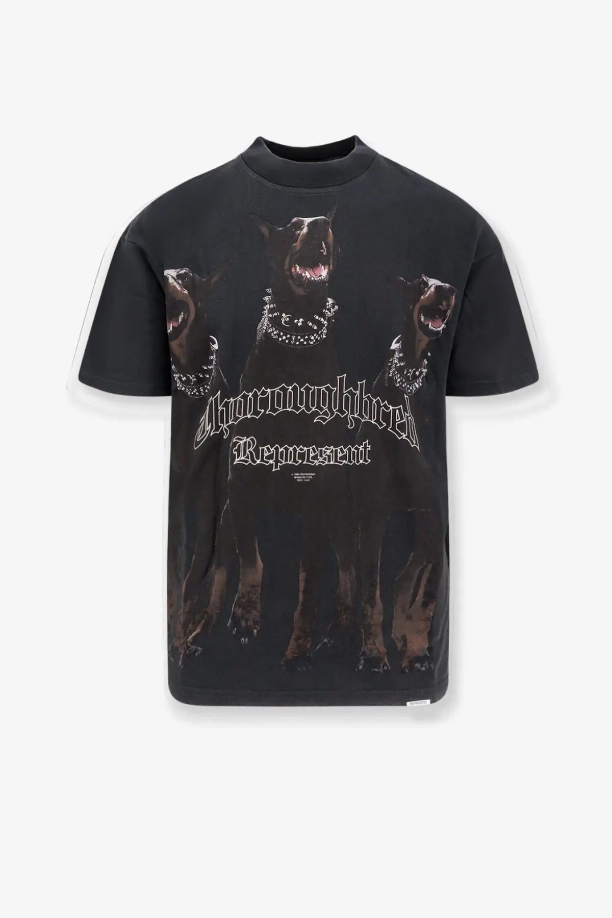 Represent men’s black cotton t shirt with graphic of three dogs wearing necklaces and anchovybreed represent text