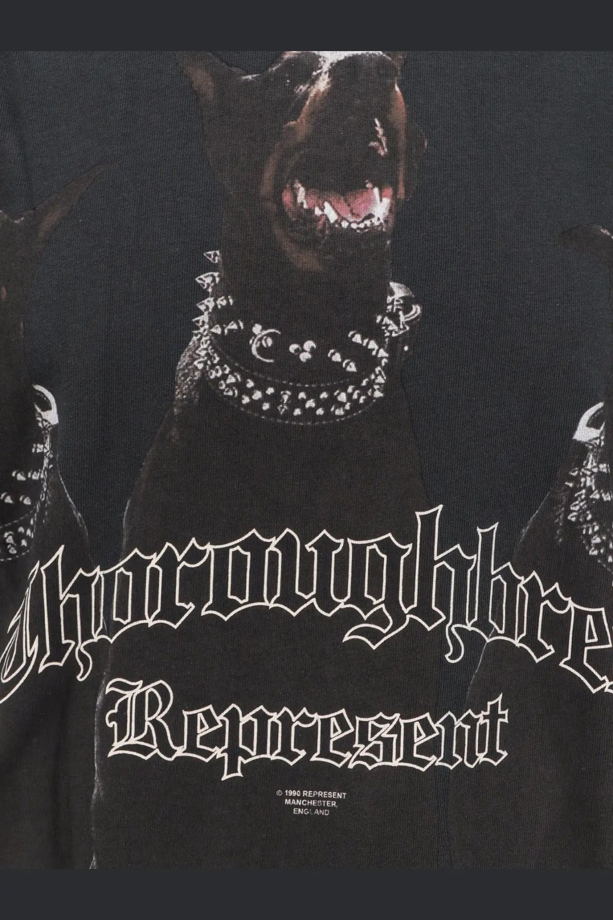 Represent men’s black cotton t-shirt featuring a doberman pinscher graphic with spiked collar and gothic lettering