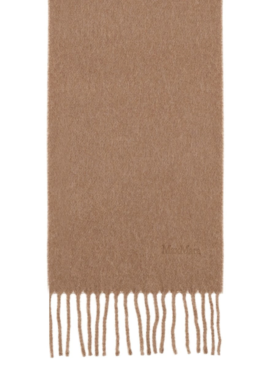 Max Mara Women's Sciarpa in Lana Con Ricamo Brown
