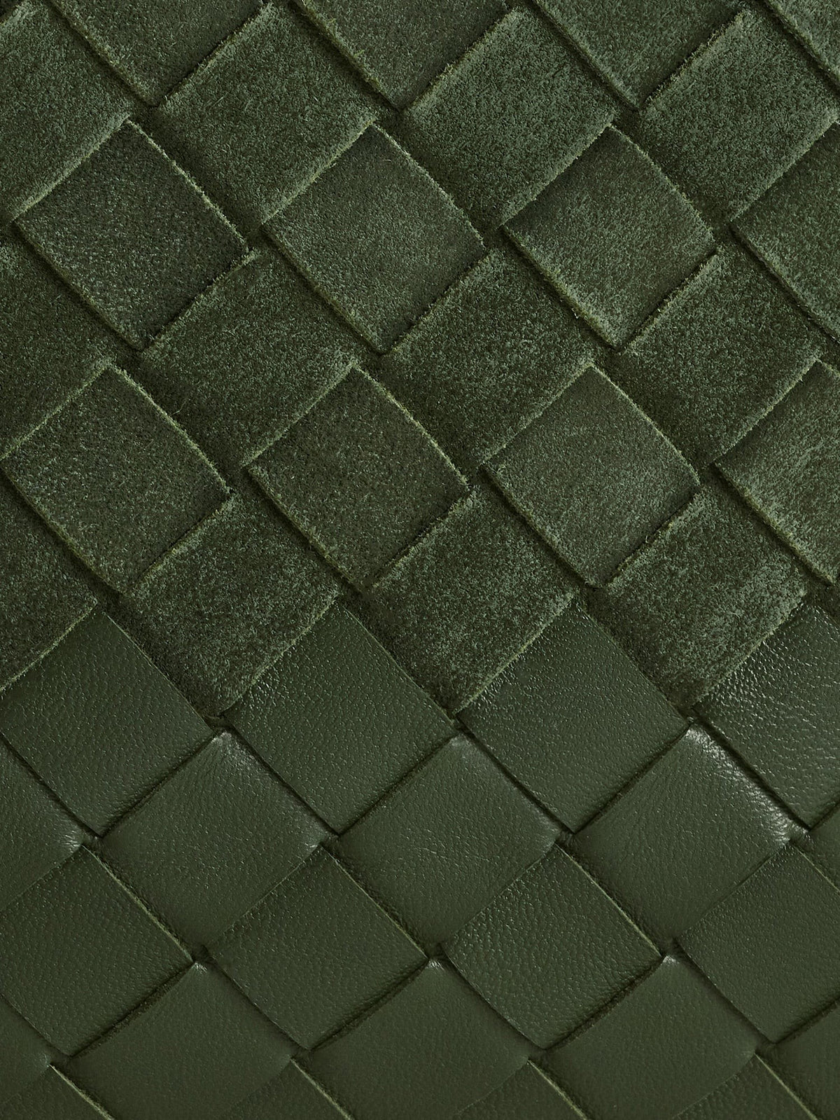 Bottega Veneta Women's Suede Dustbag Green