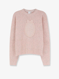 Dior Women's Sweater Pattern