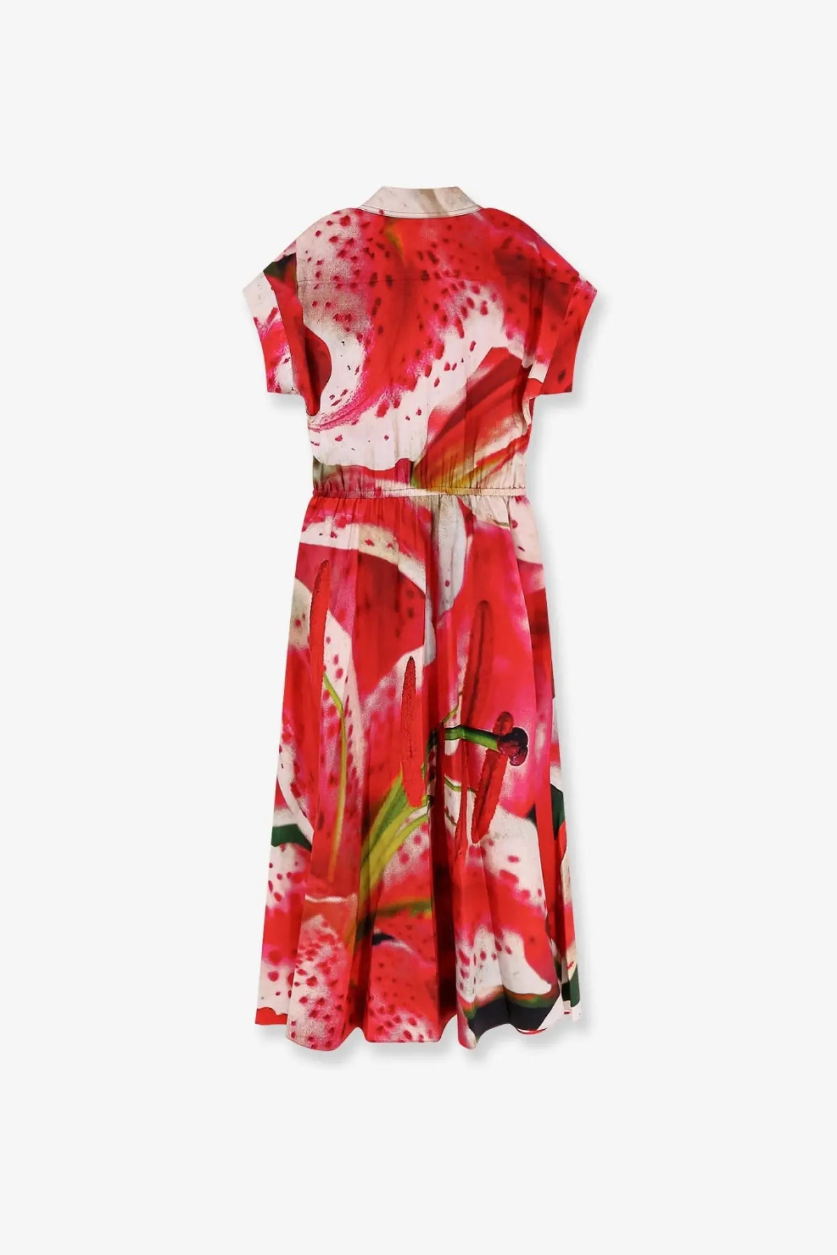 Tory Burch women’s printed silk chemisier dress in blue with vibrant red and white lily print short sleeves and cinched waist