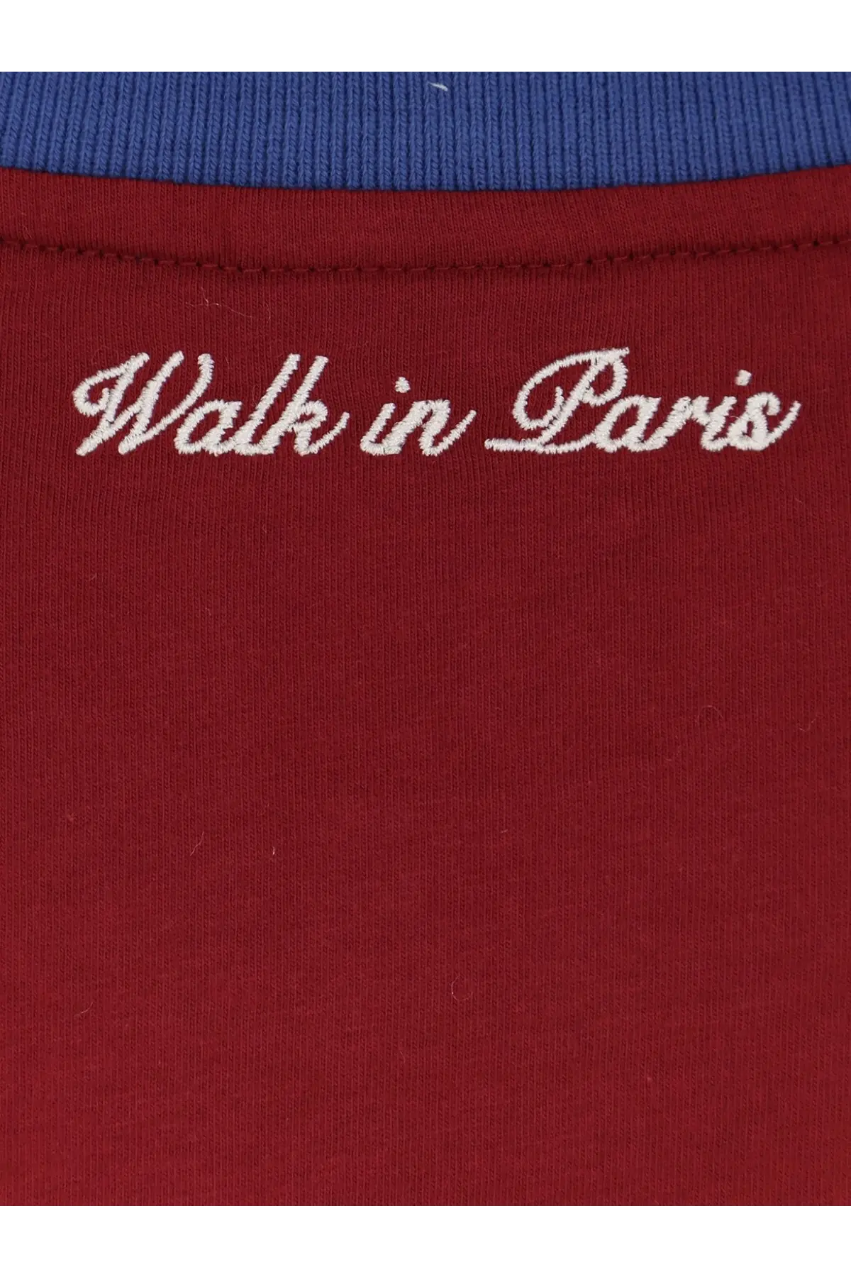 A maroon cotton t-shirt with white embroidered walk in paris script and a contrasting blue ribbed collar